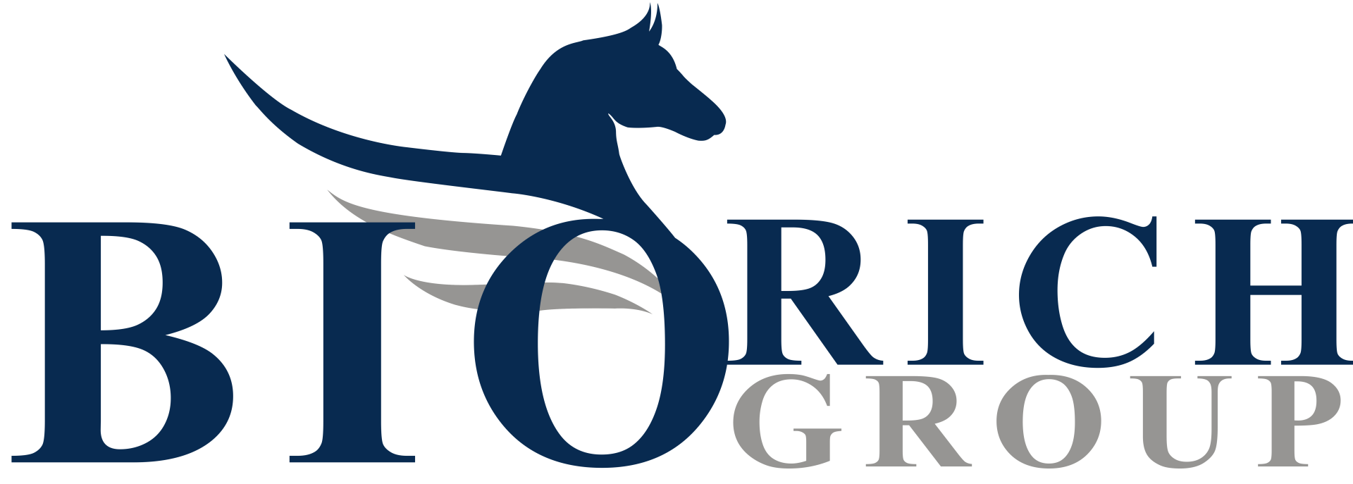 Biorich Group